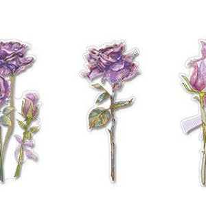 Purple Rose Stickers Pack