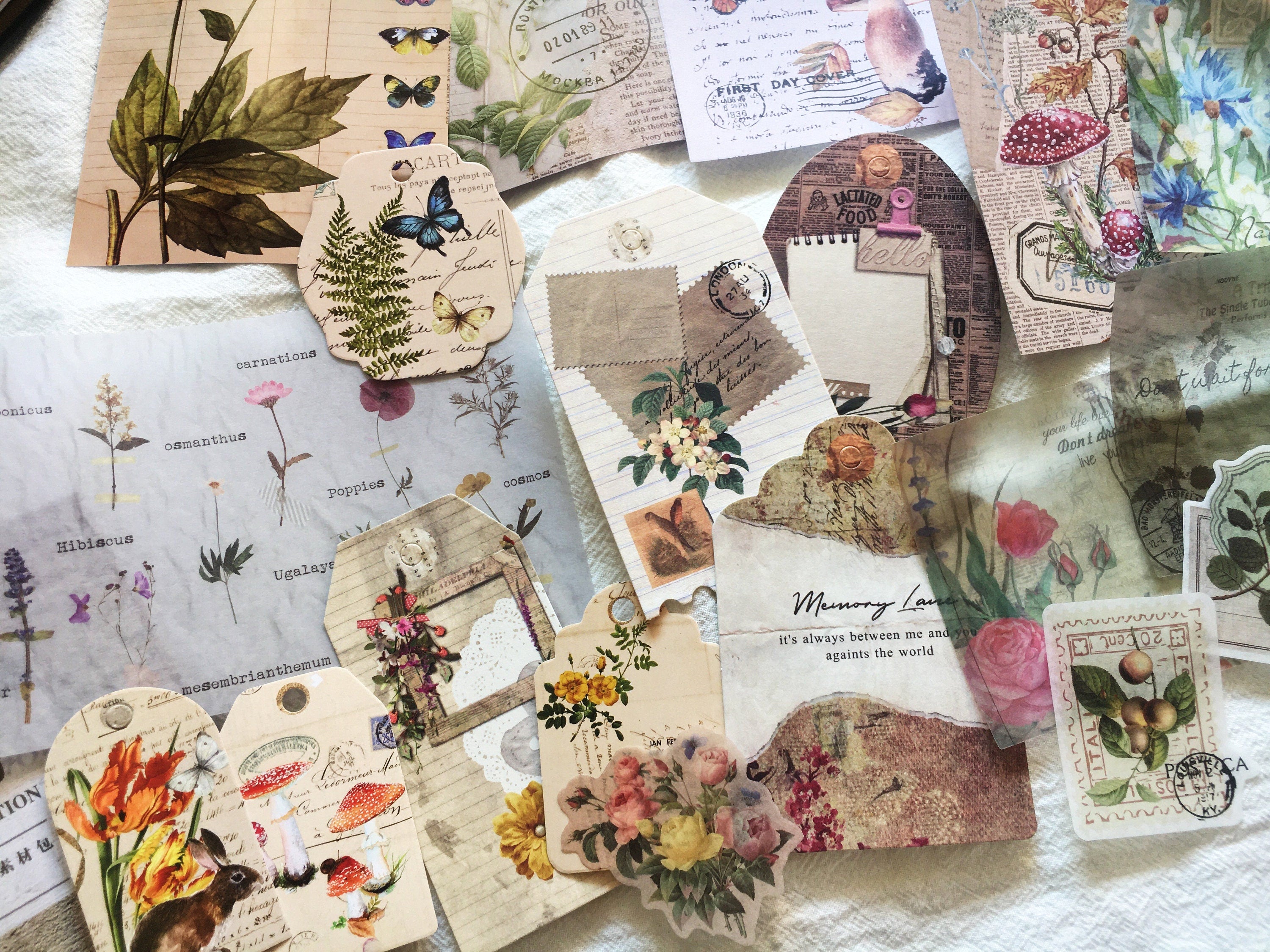 27pcs Nature Collection Vinyl Scrapbook Stickers Kit, Plants Label and Tags Junk Journal Kit , Ephemera Pack, AL151