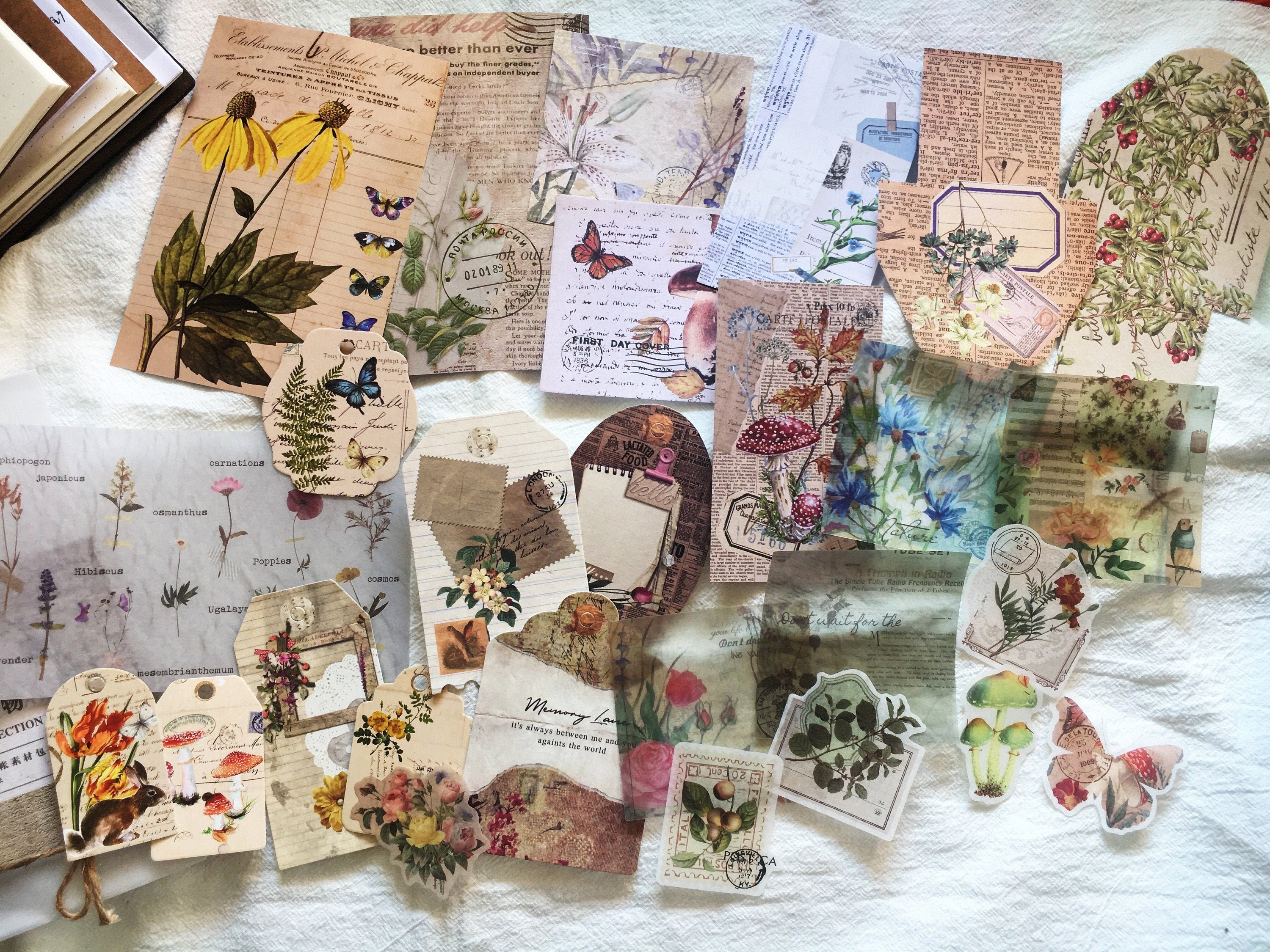 27pcs Nature Collection Vinyl Scrapbook Stickers Kit, Plants Label and Tags Junk Journal Kit , Ephemera Pack, AL151