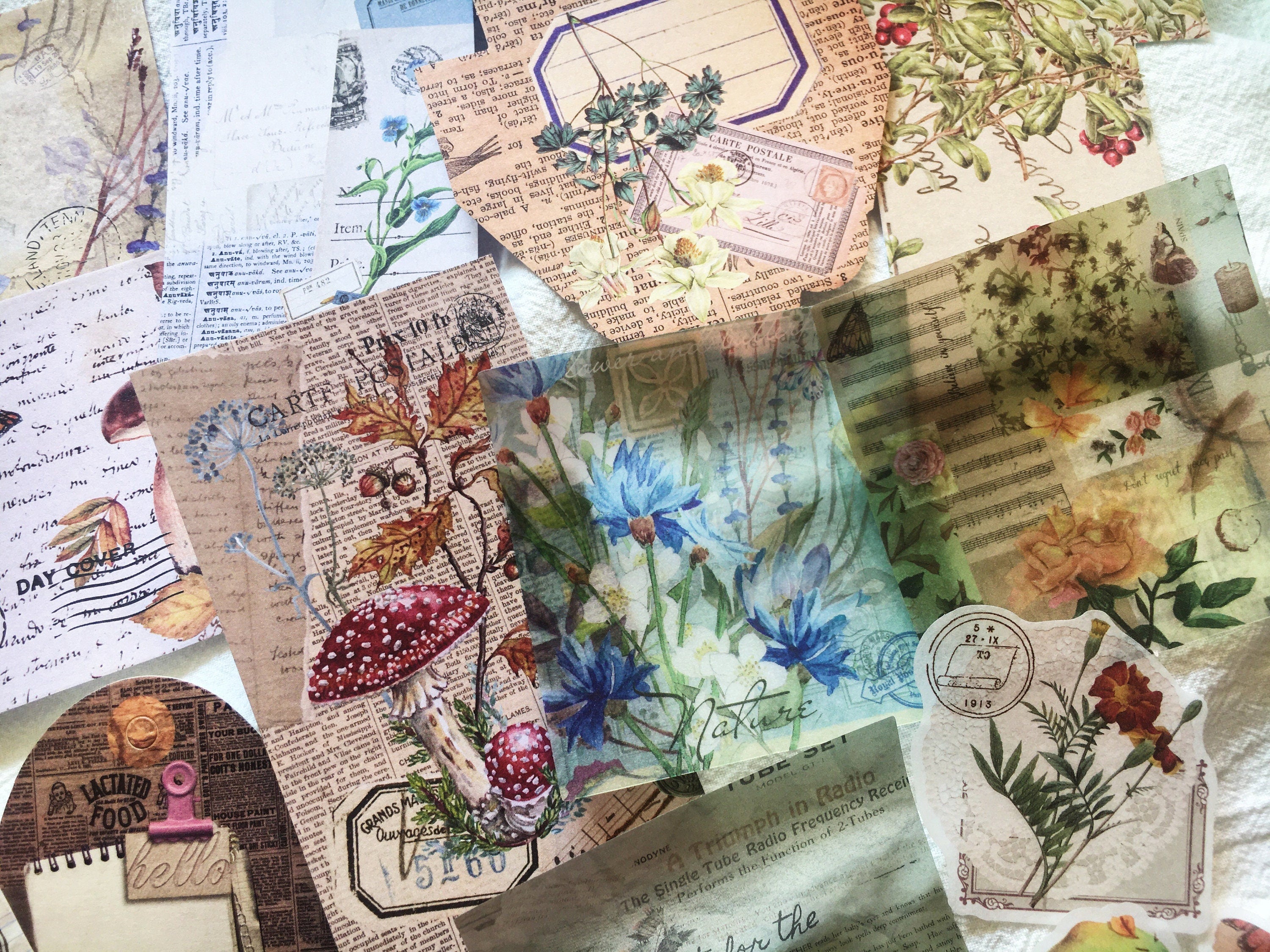 27pcs Nature Collection Vinyl Scrapbook Stickers Kit, Plants Label and Tags Junk Journal Kit , Ephemera Pack, AL151
