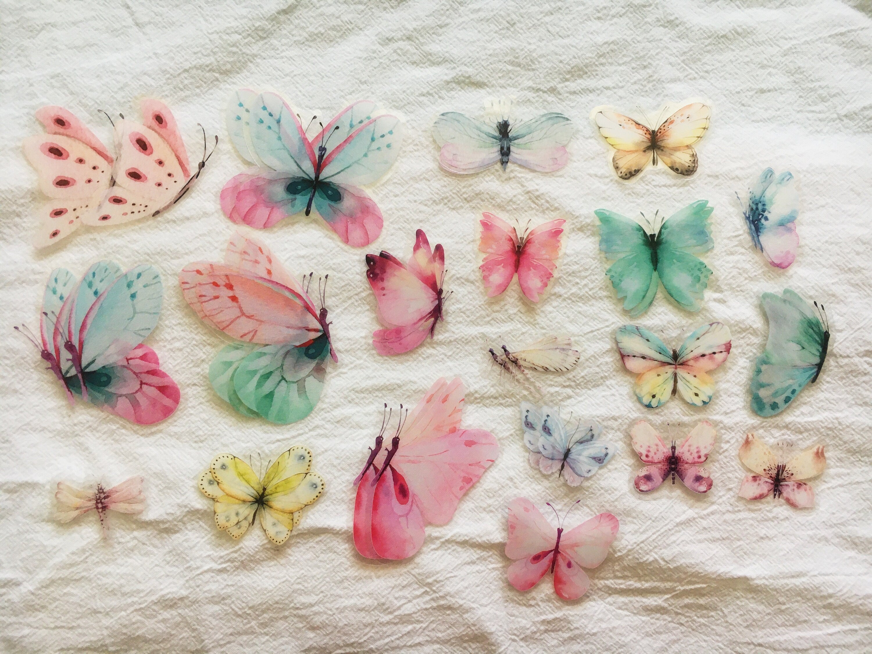 Dream Color Butterfly Stickers Pack