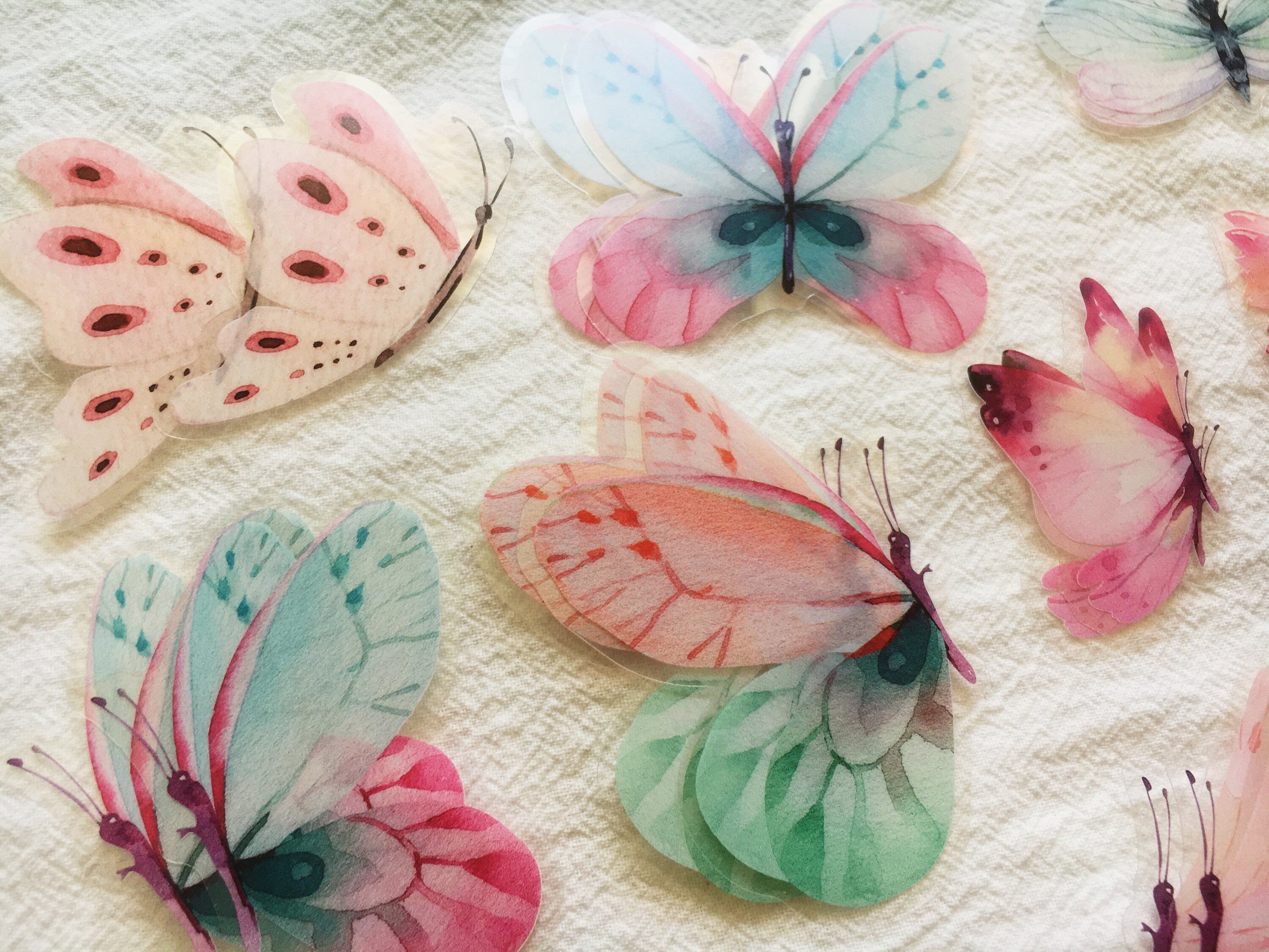 Dream Color Butterfly Stickers Pack