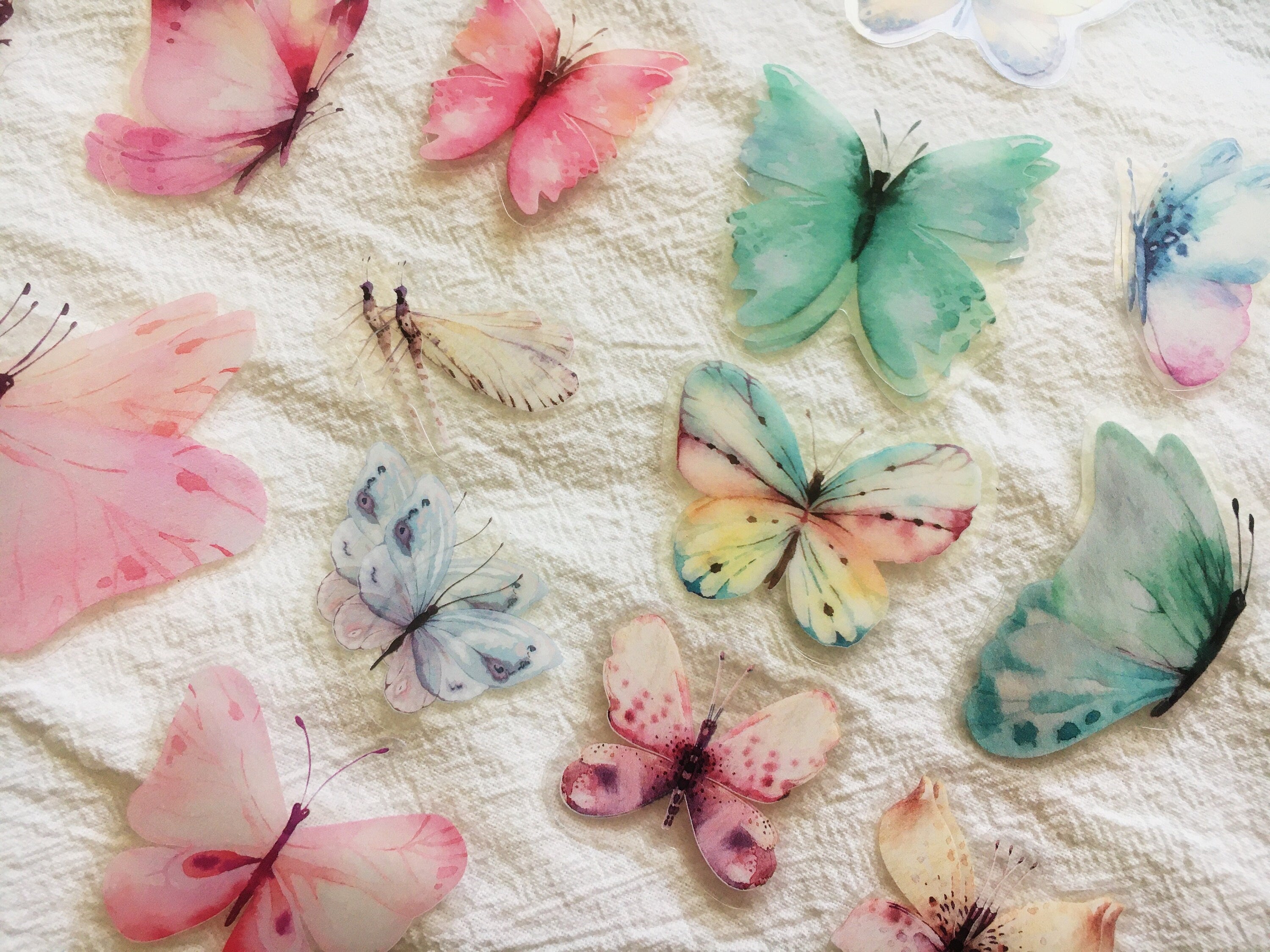 Dream Color Butterfly Stickers Pack