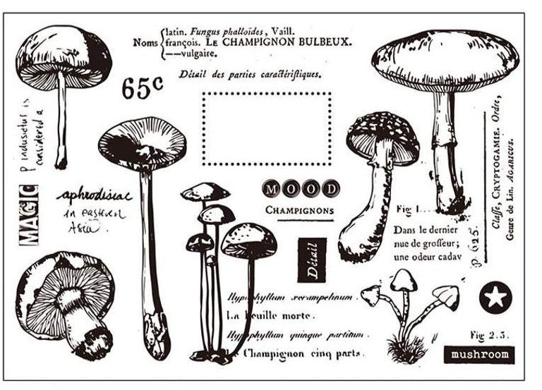 Vinyl Mushroom Clear Stamps