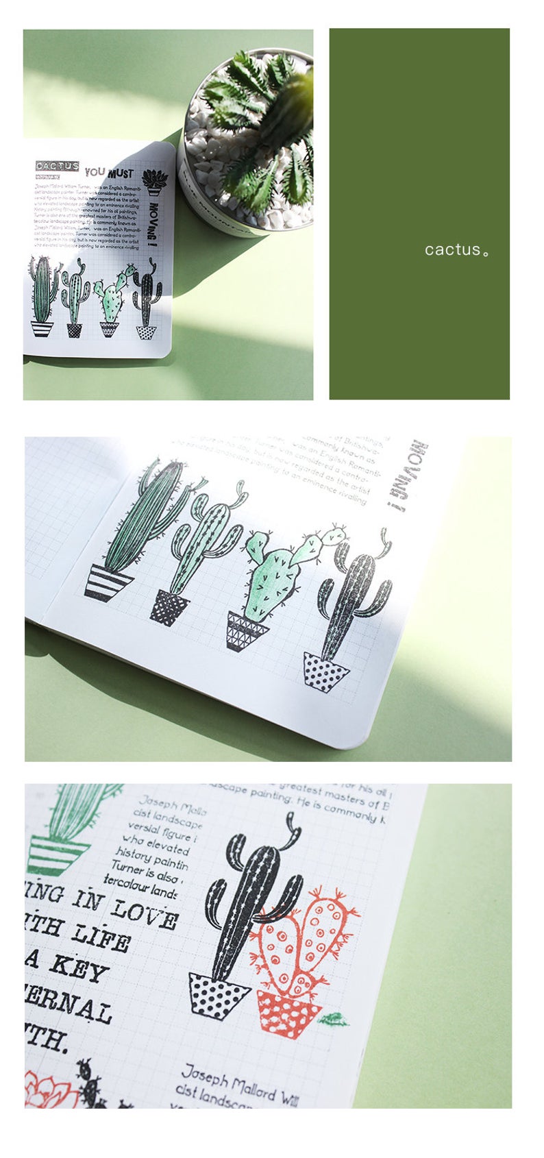 Assorted Cactus themed Clear Stamps