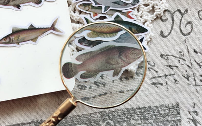 Vintage Fish Stickers