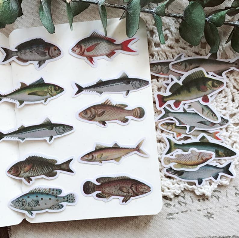 Vintage Fish Stickers