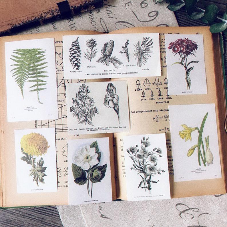 Plants Sticker Pack