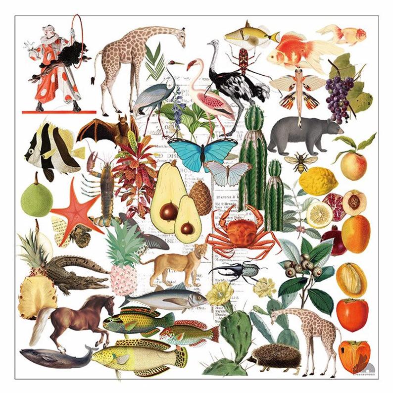 Assorted Animal, Biological themed Vinyl Stickers Pack