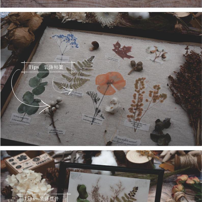 Dry Flower PET Stickers