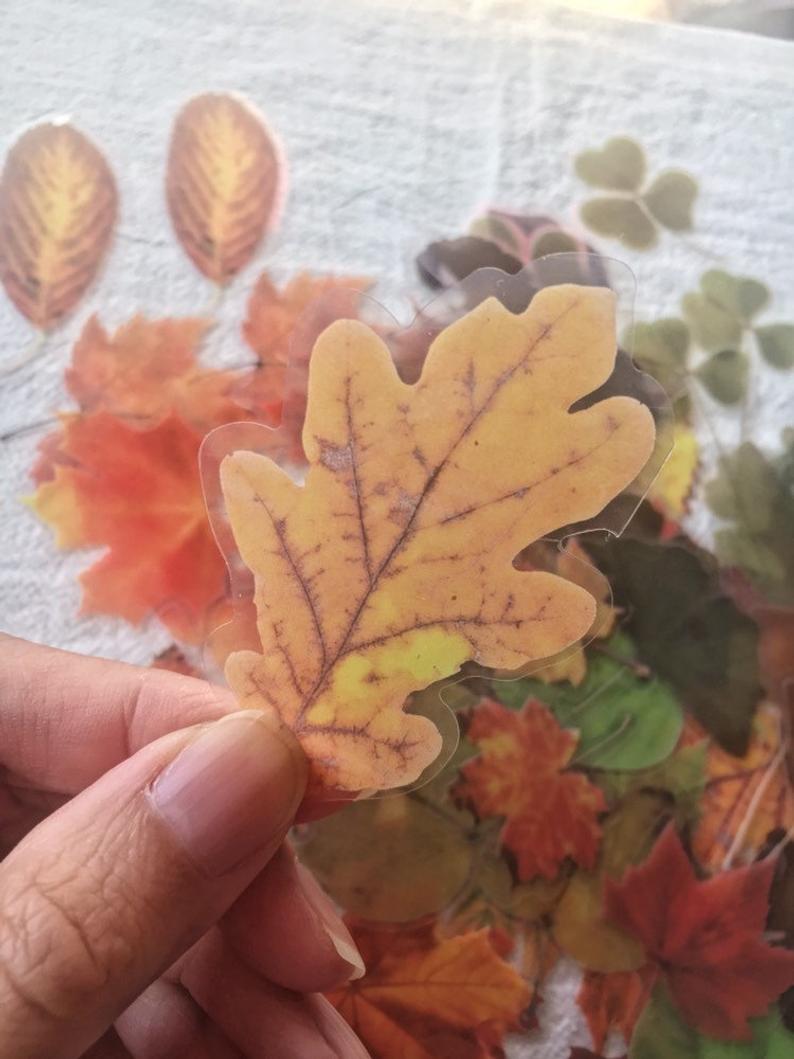 Fall Leaves PET Stickers