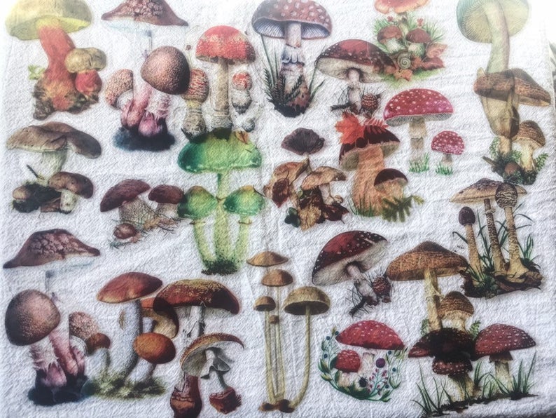 Mushroom Waterproof Stickers