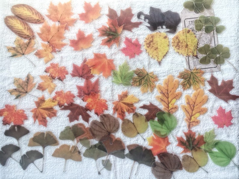 Fall Leaves PET Stickers