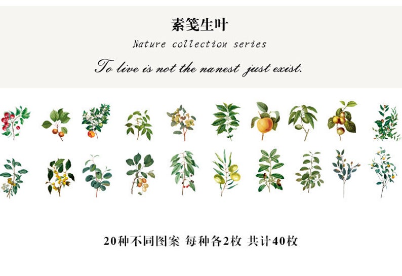 Fruit Leaves Waterproof Stickers