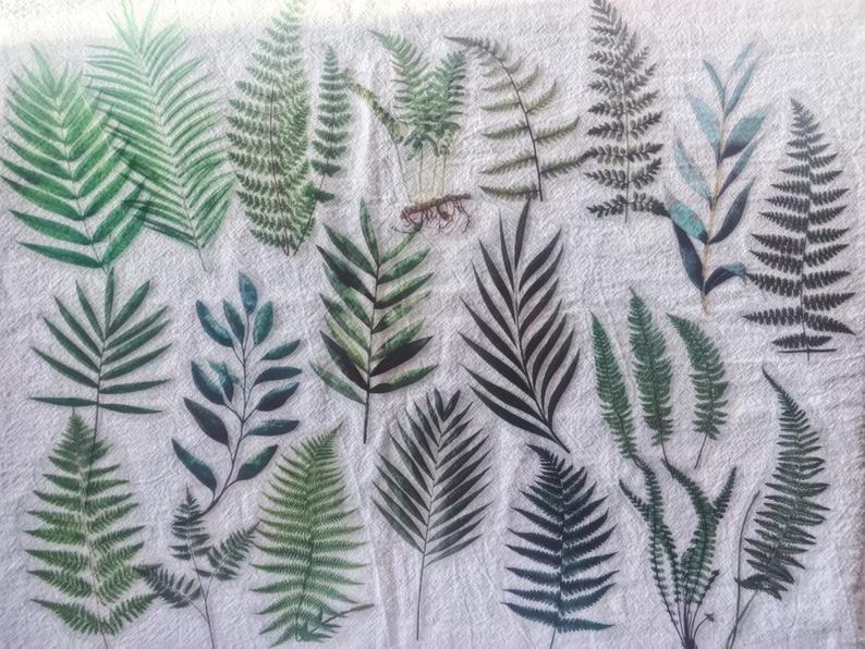 Green Fern PET Stickers