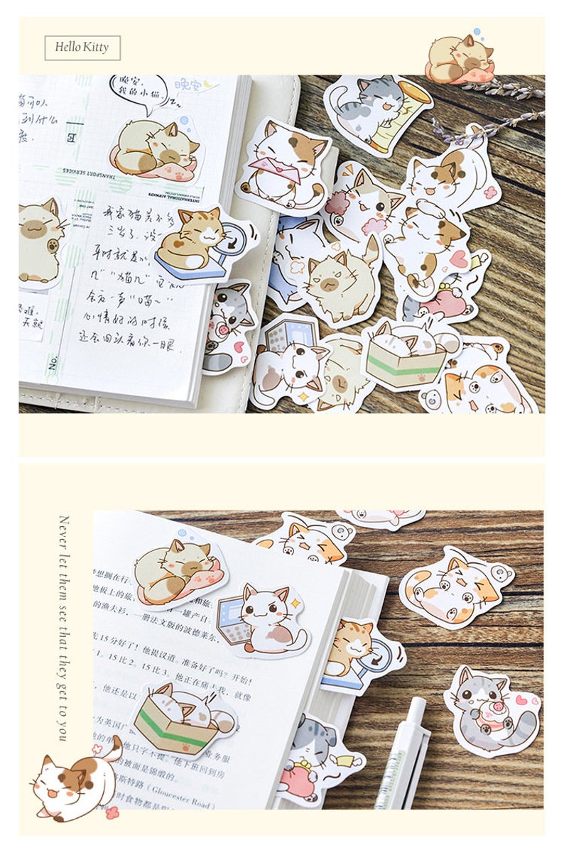 Be my Cat Cute Box Stickers