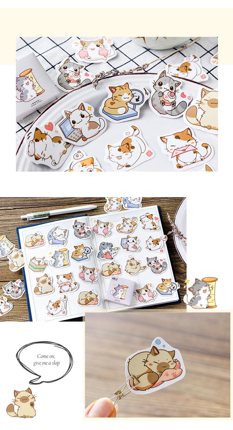 Be my Cat Cute Box Stickers