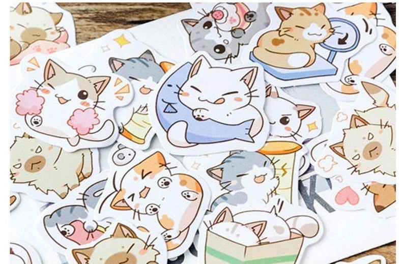 Be my Cat Cute Box Stickers