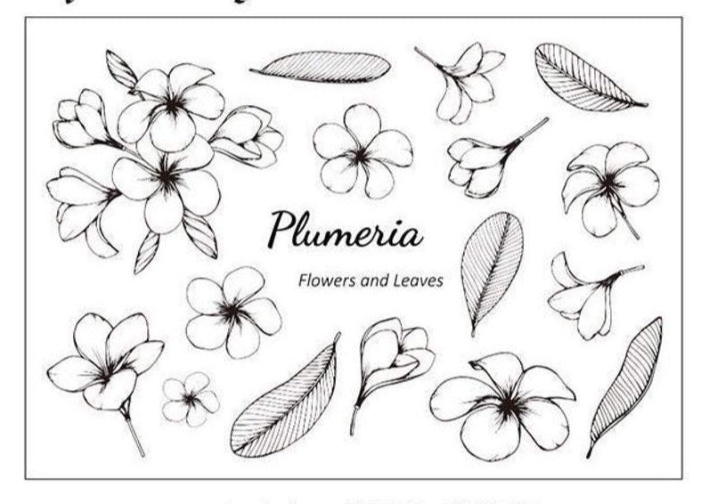 Plumerias Flowers and Leaves Clear Stamps