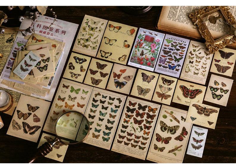 Butterfly Vinyl Stickers Pack