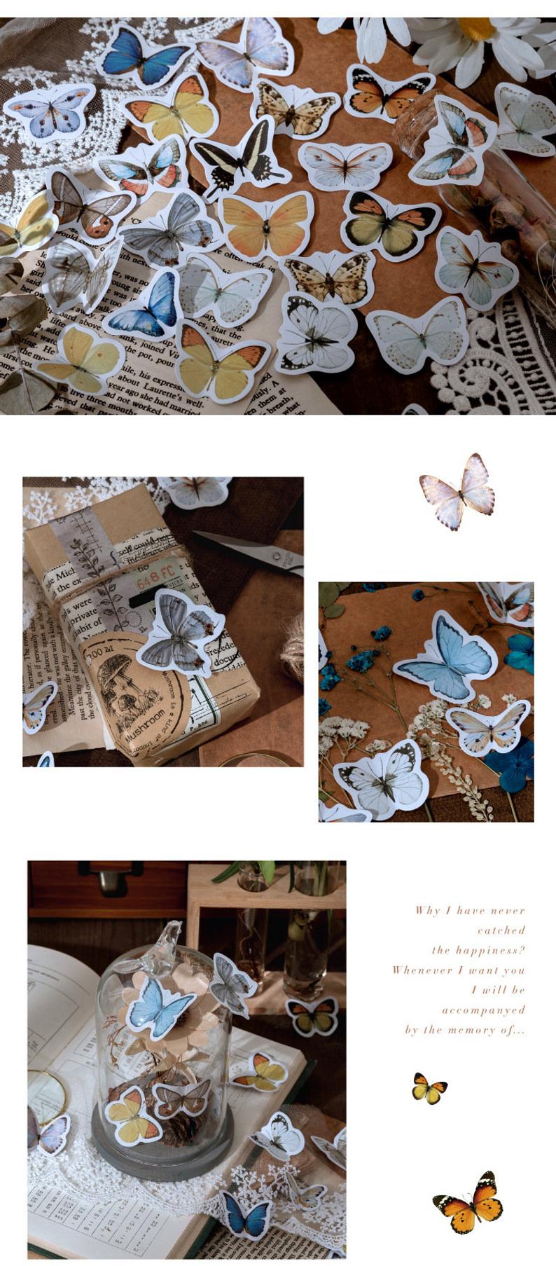 Butterfly Box Stickers