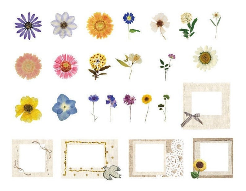 Photo Frame Card with Blooming Flowers Transparent Stickers