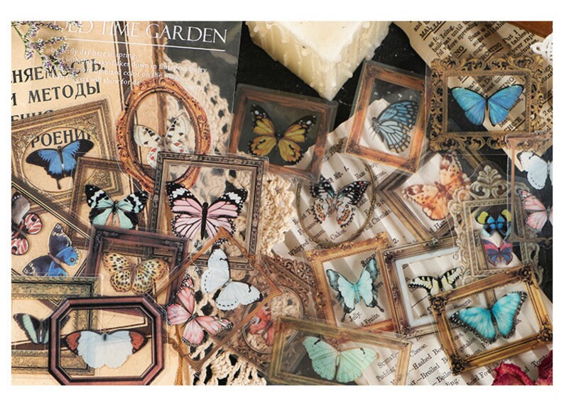 Butterfly in Photo Frame Bullet Journal Sticker Pack, AL612