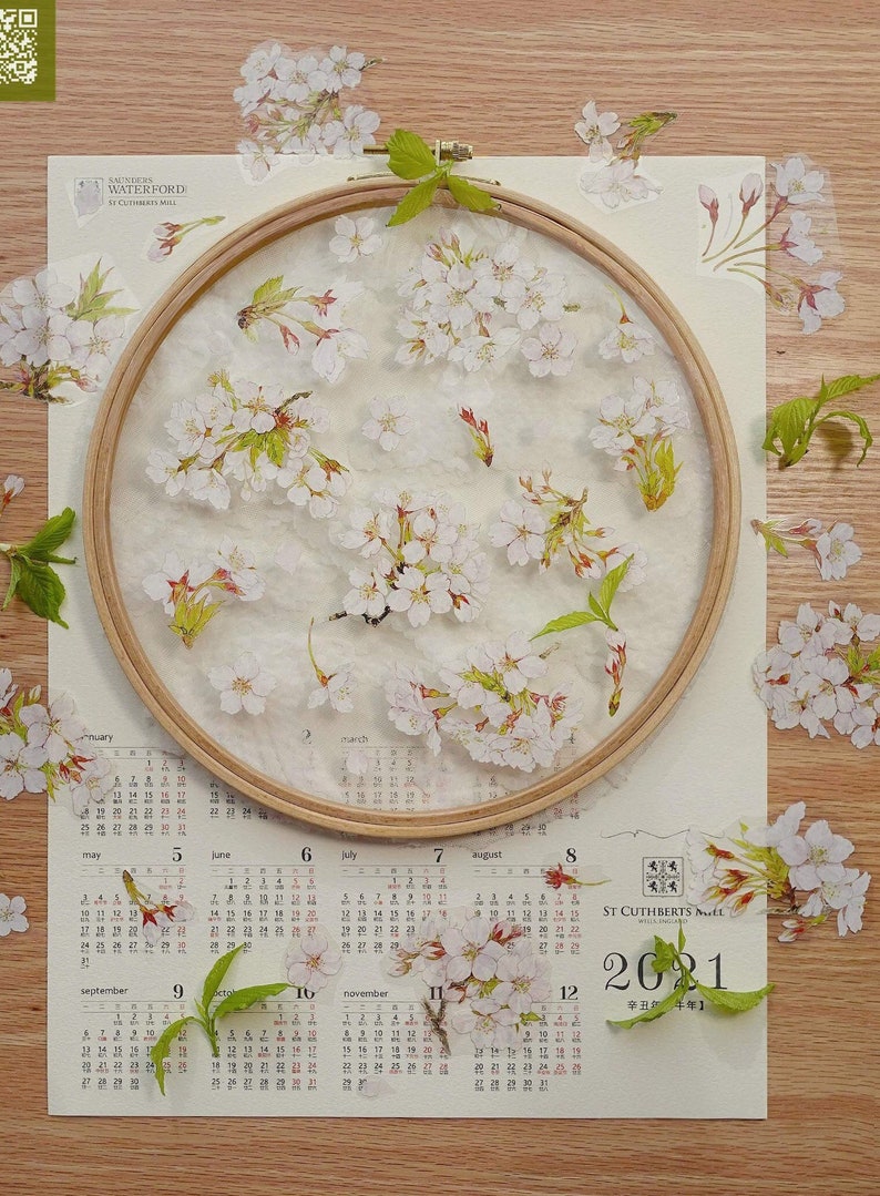 Spring Sakura  Washi/PET Tape, JYS-08