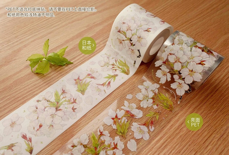 Spring Sakura  Washi/PET Tape, JYS-08