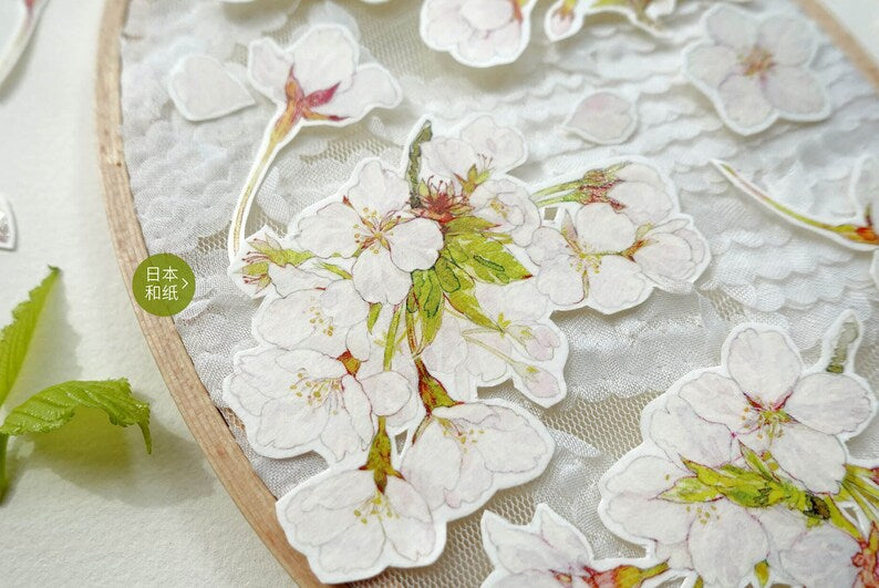 Spring Sakura  Washi/PET Tape, JYS-08